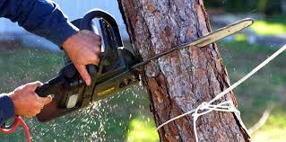 Best Hazardous Tree Removal  in Tunnel Hill, GA