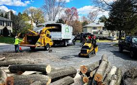 Best Lawn Disease Treatment  in Tunnel Hill, GA
